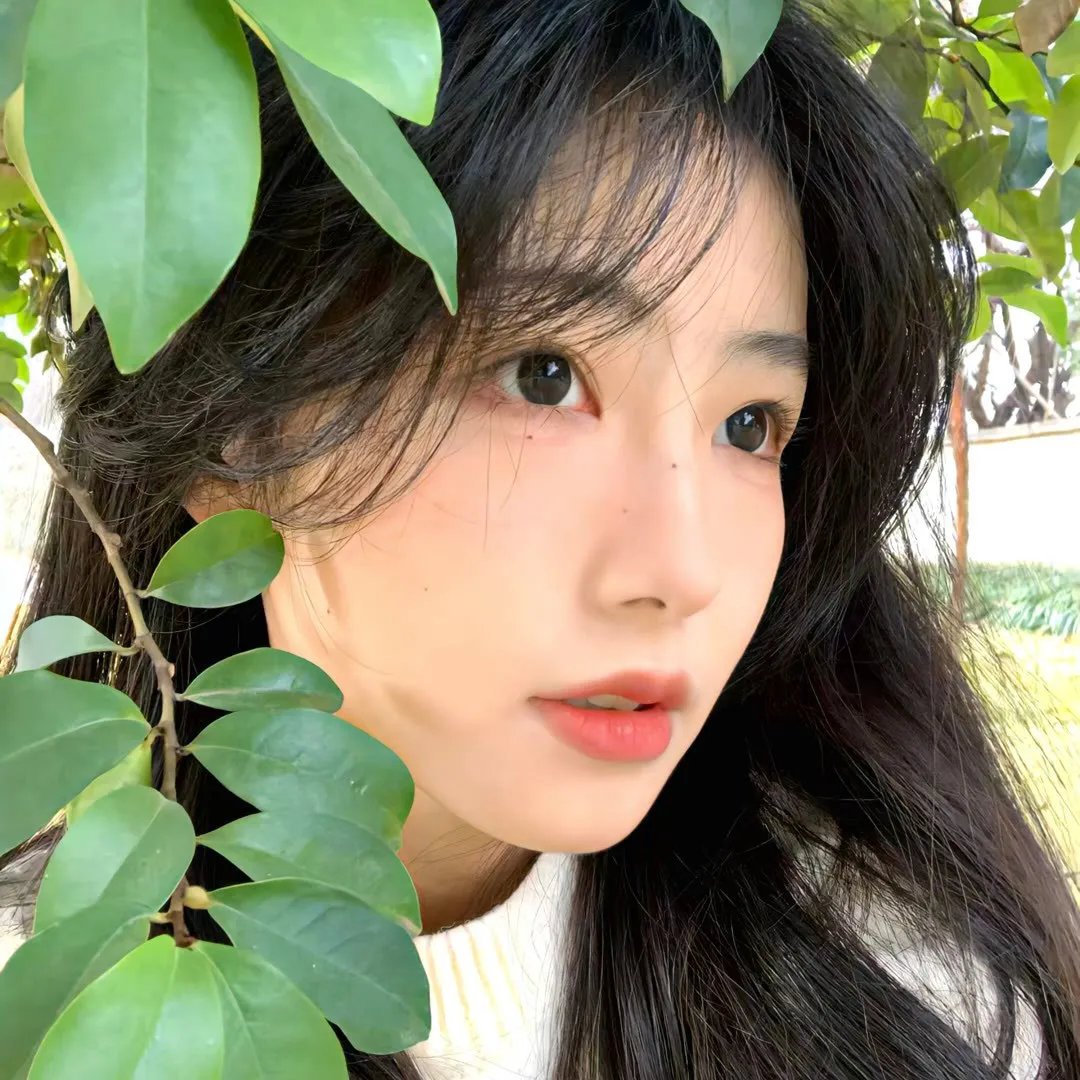 南波万的聚会第二季